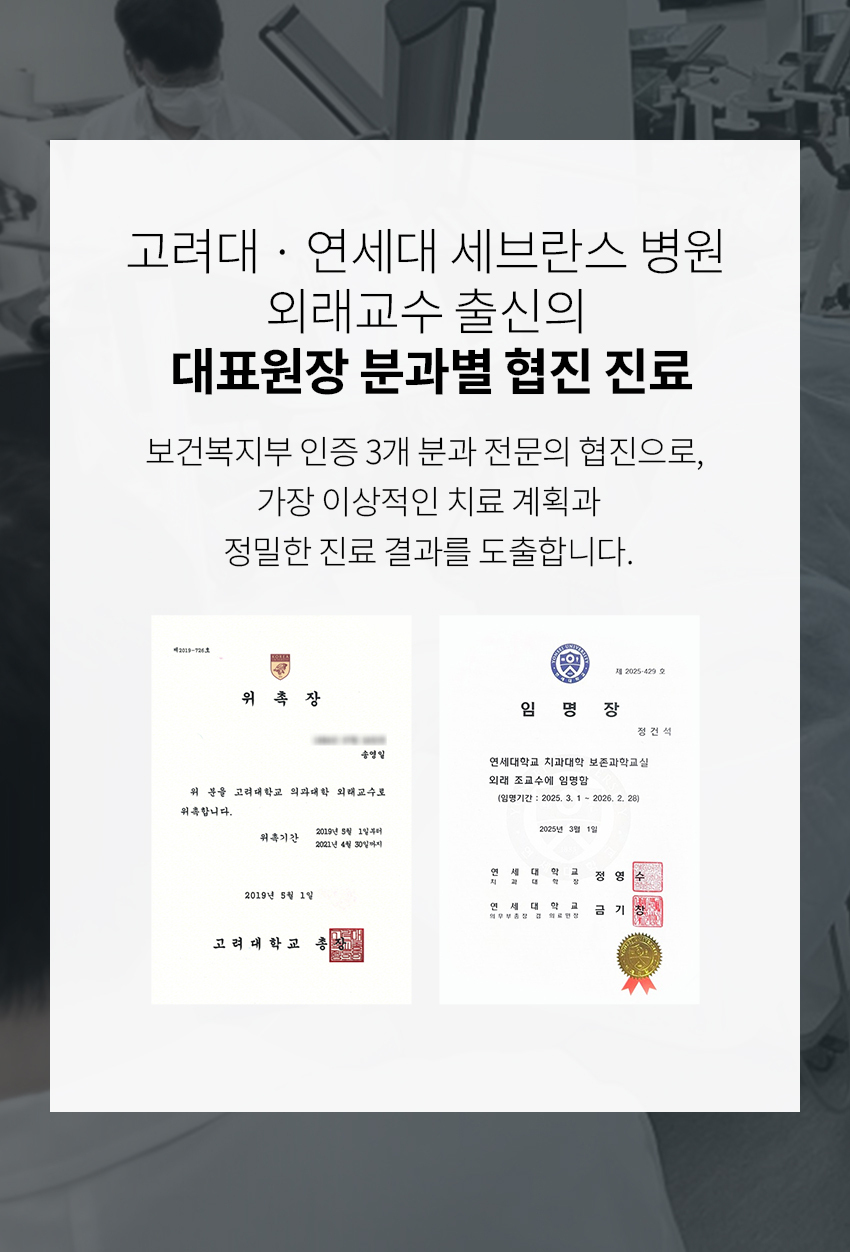 이미지명
