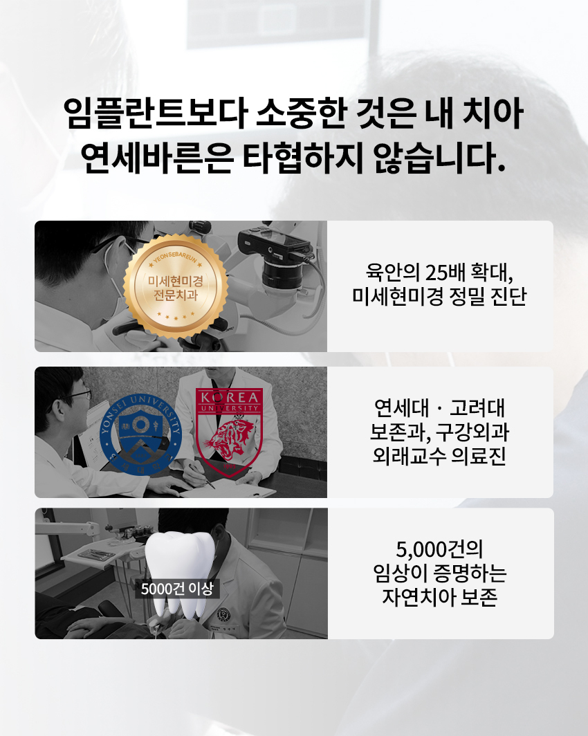 이미지명