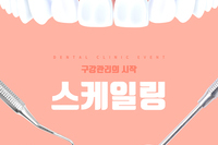 스케일링 주기 및 건강보험 적용여부