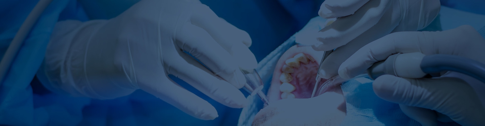 꼭 필요한 치료만 시행하는 연세바른치과!|YONSEI BARUN DENTAL CLINIC