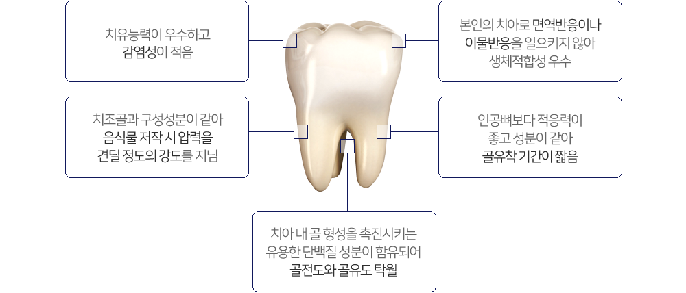 이미지명