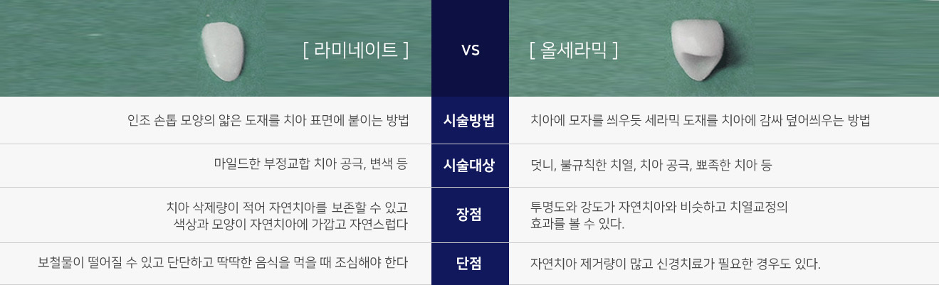 이미지명
