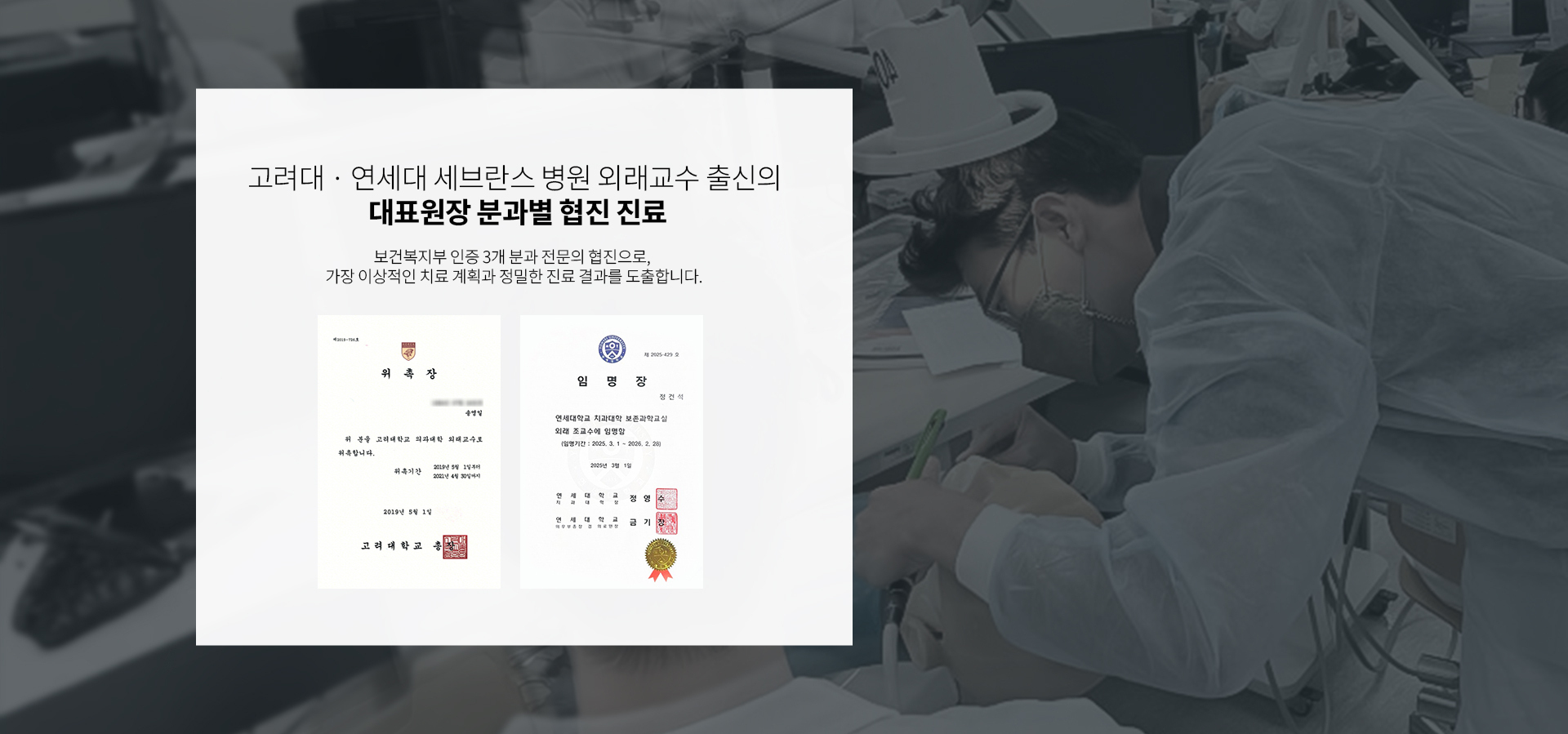 이미지명