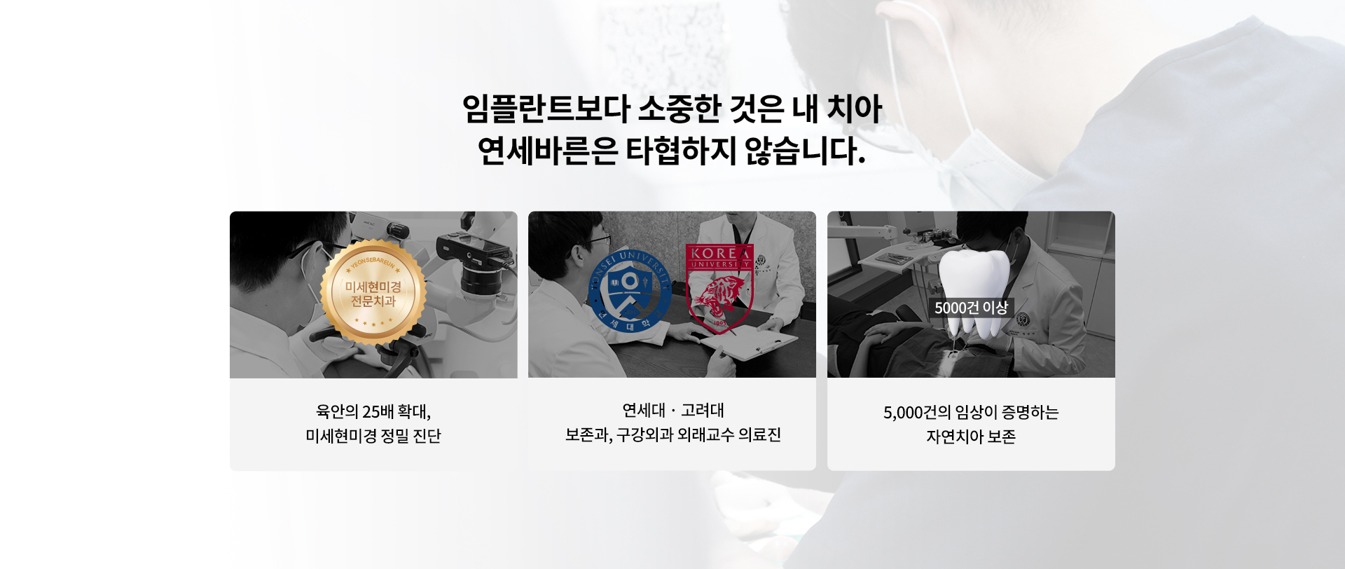 이미지명